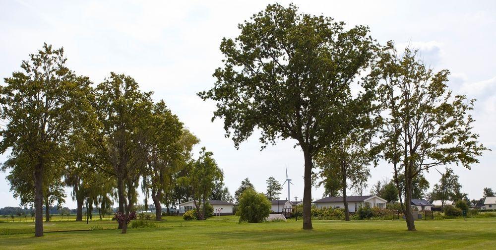 Topparken - Park Westerkogge Berkhout Exteriér fotografie